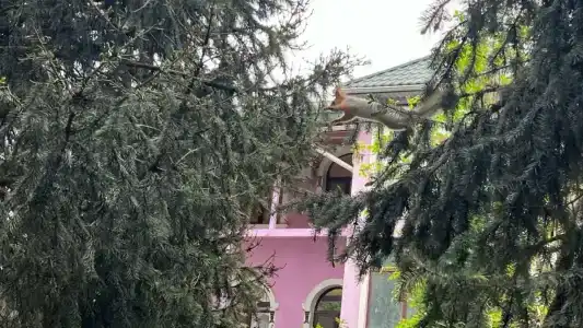 Koktem Sanatorium - 42