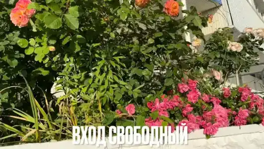 COOCOOROOZA Resort - 7