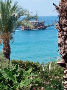 Muz - All Inclusive - 10