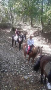 Sportivno-turisticheskiy kompleks Hod konem - 34