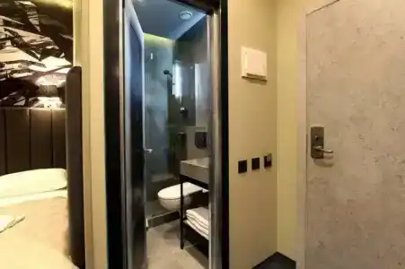 Wellion Baumansky - 95