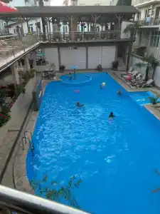 Кардинал - 58