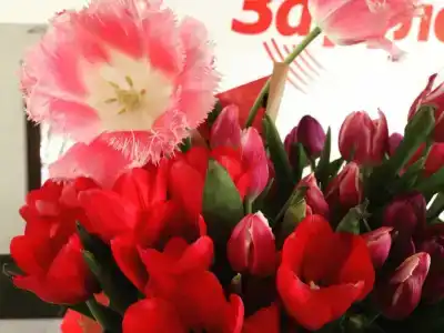 Формула За рулем - 40