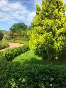 Zolotoj Klyuchik - 11