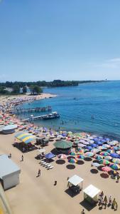 Zolotye peski Tourist base - 11