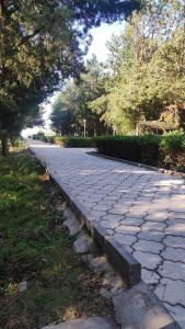 Zolotye peski Tourist base - 6