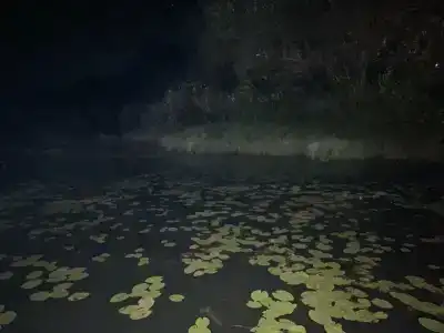 Recreation center Lesnye dali - 6