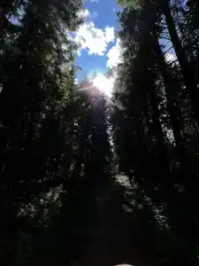 Usad'ba Ohotnika - 27