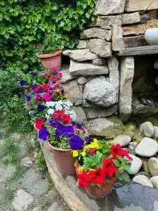 Dom otdyha Istok - 3