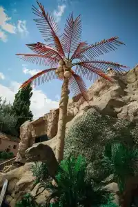 Armenian Village Park & FREE Water Park, GYM - 10