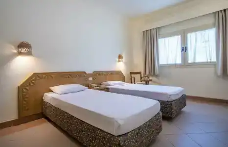 Camel Dive Club & - Boutique - 18