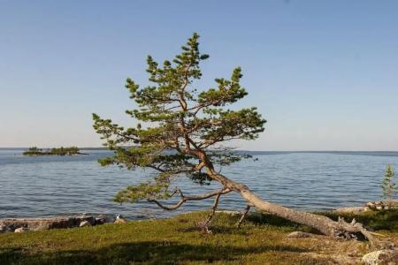 Wilderness Inari & Igloos - 41