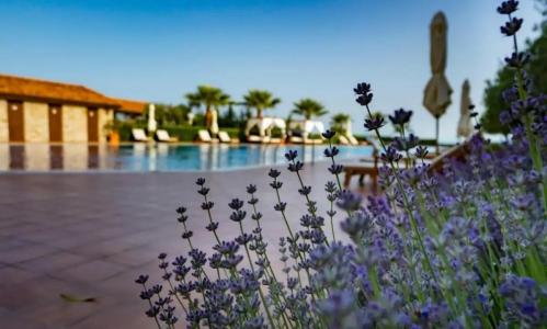 Burgas Beach Resort Apartments - 9