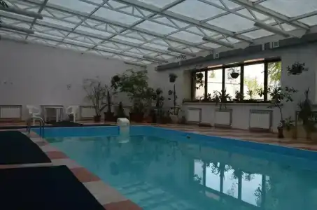 Регина Малые Клыки - 12