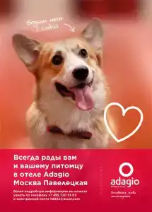 Адажио Москва Павелецкая - 11