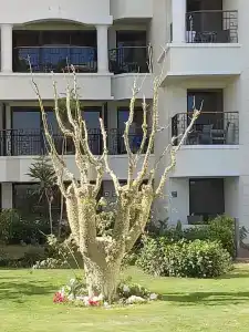 SUNRISE Holidays Resort (Adults Only) - 47