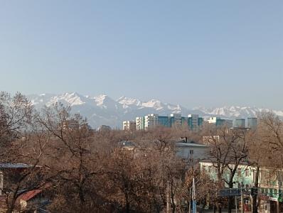 Golden Palace - 16