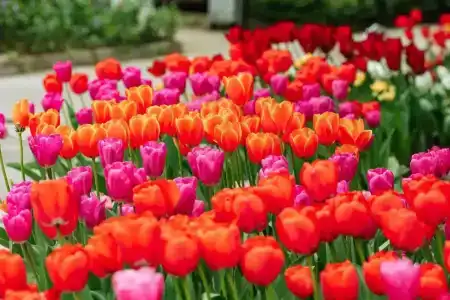 Uzhnoe Vzmorie Health Resort - 8