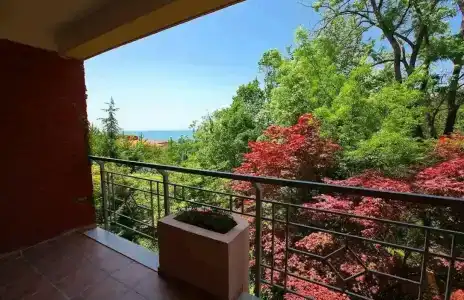 Odisseya Resort - 42