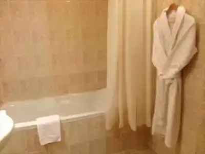 Tsentralny EuroHotel - 12