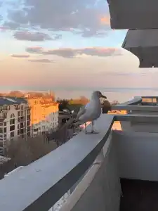 & Casino Cherno More - 4