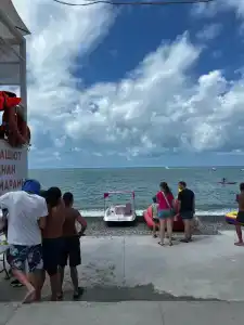 Кардинал - 56