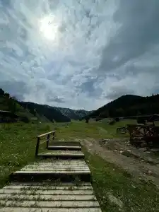 Pioneer - 4