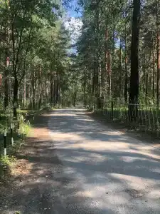 Zagorodnayy Klub Lesnaya Skazka - 44