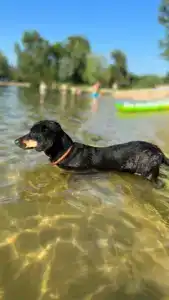 Malinka Guest House - 28