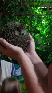 Recreation center Lukoyl - 33