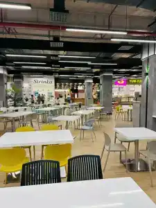 Royal Renaissance - 25