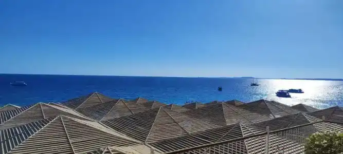 Sentido Reef Oasis Aqua Park Resort - 27