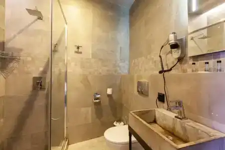 Wellion Baumansky - 65