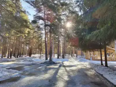 Lesnye Kvartaly Glamping - 66