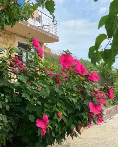 Baza otdykha Golden Sands - 7