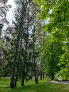 Березина (Минская обл.) - 2