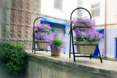 Матисов Домик у Новой Голландии - 55