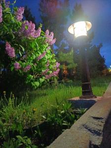 Terrassa Park - 12