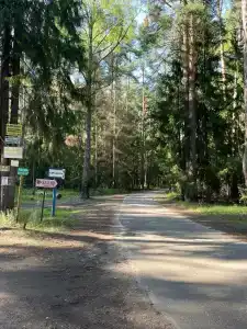Zaliv - 29
