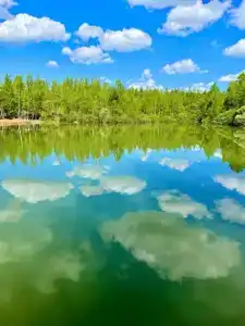 Nekrasovo Tourist base - 21