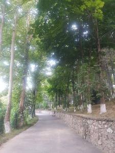 Sanatorium Humsan - 6