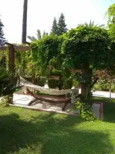 Grand Nar - Adult Only - 32