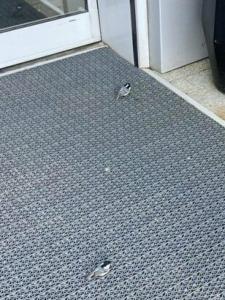 Novotel Arkhangelsk - 94