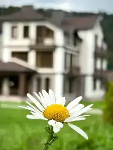 Verhnie Golubyye Ozyora - 26