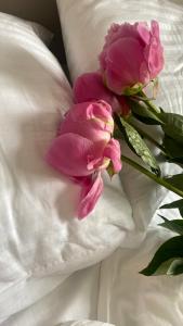 Apart-otel Kub Green - 61