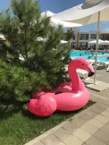 ЛетоoтеЛь - 26