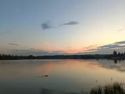 Piknikovyy ray - 48