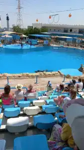 Xanadu Club Makadi Bay - 94