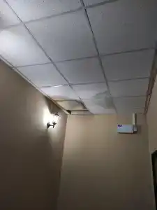 Syurpriz Na Yablochkova 31Zh - 19