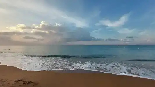 Megasaray Resort Side - 49